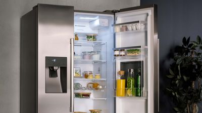 Innenansicht auf einen Side-by-Side Edelstahlkühlschrank. 